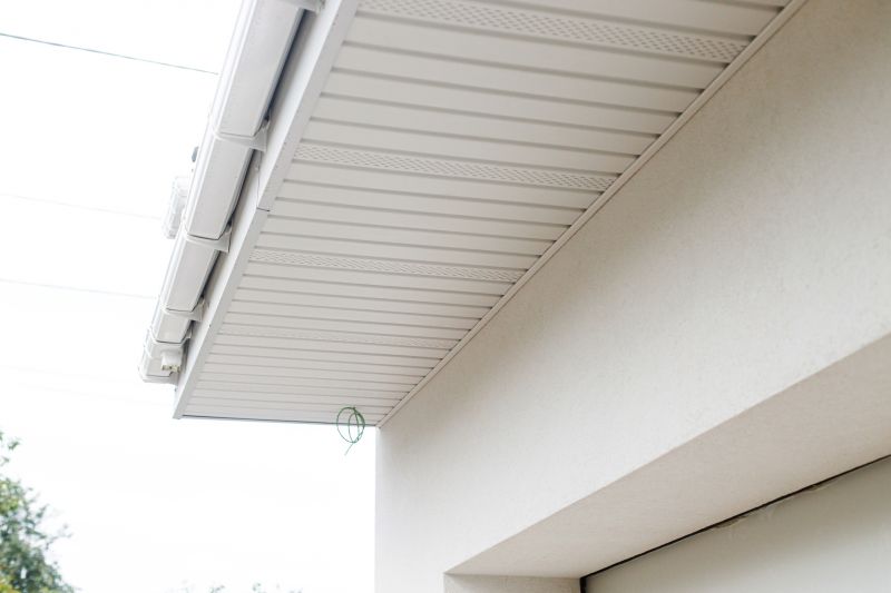 Soffit Renovation